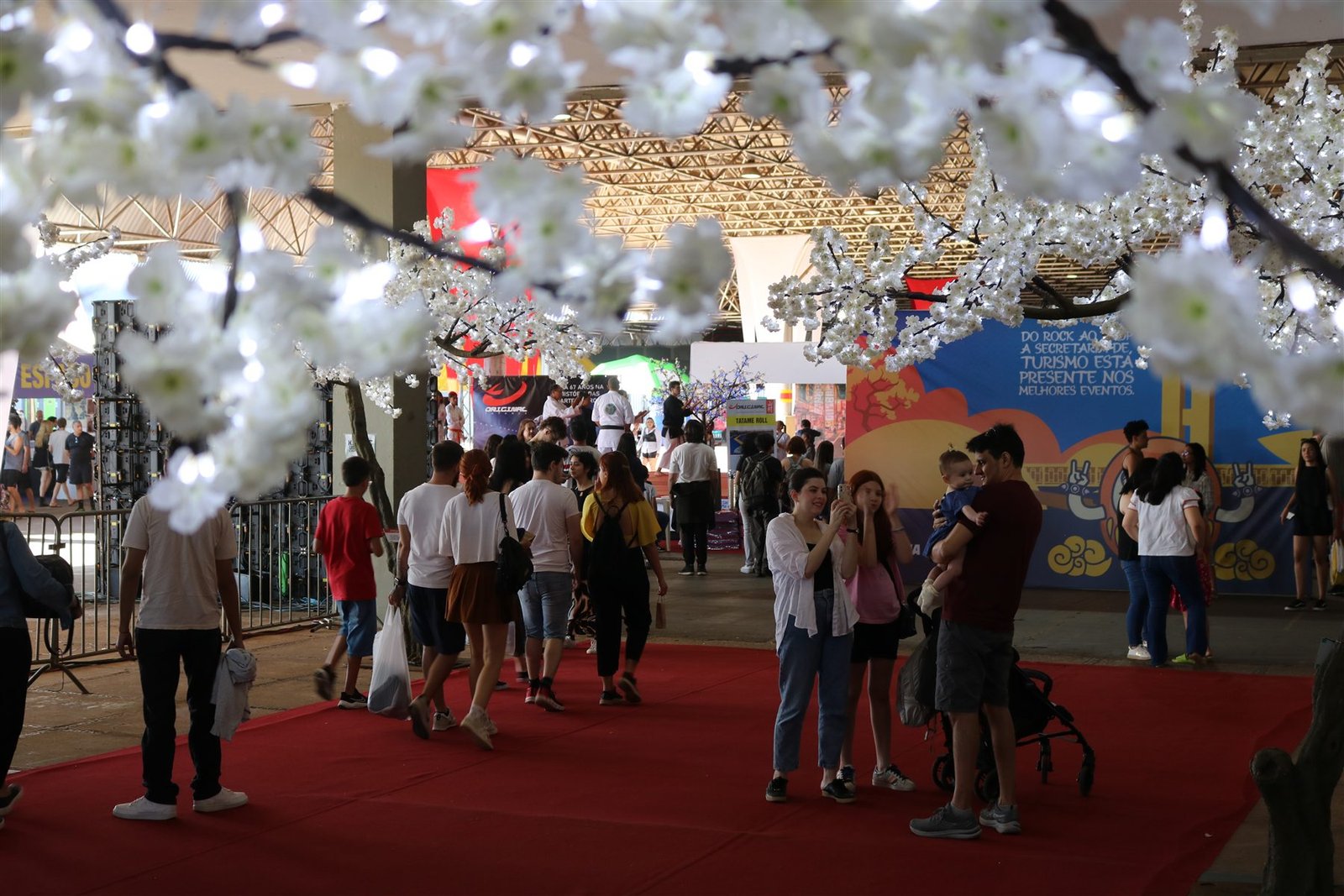 Foto do Festival do Japão